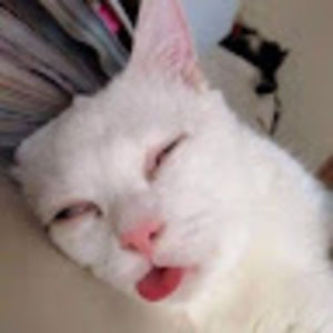 Meet your Posher, Tommy